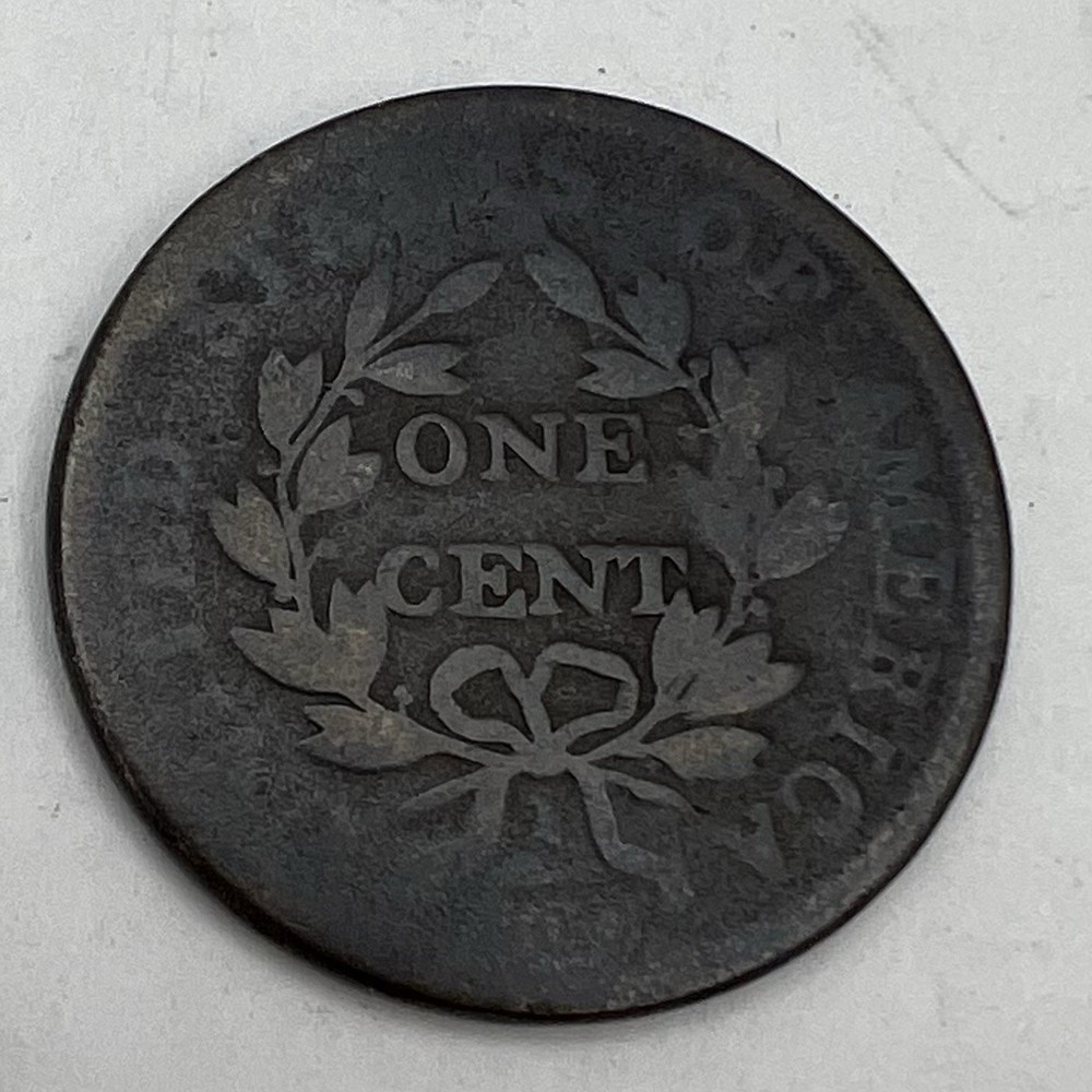 1802 Draped Bust Large Cent With Stems 1c Copper Coin