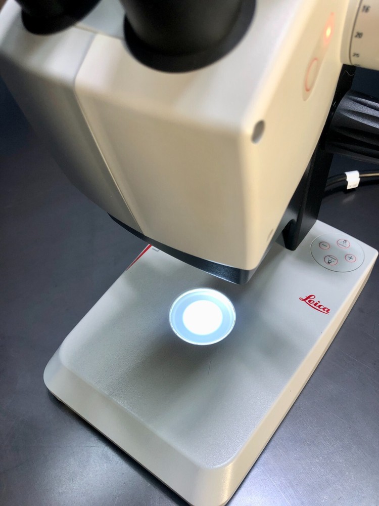 Leica EZ4 D Stereo Microscope with variable control lighting