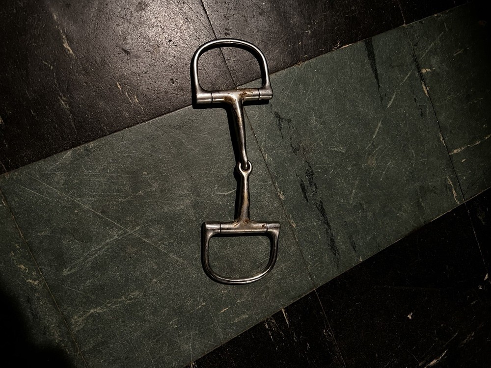 d ring snaffle bit
