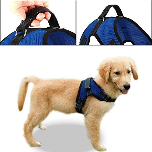 Copatchy No Pull Reflective Adjustable Dog Harness with Handle (X-Small, Blue)