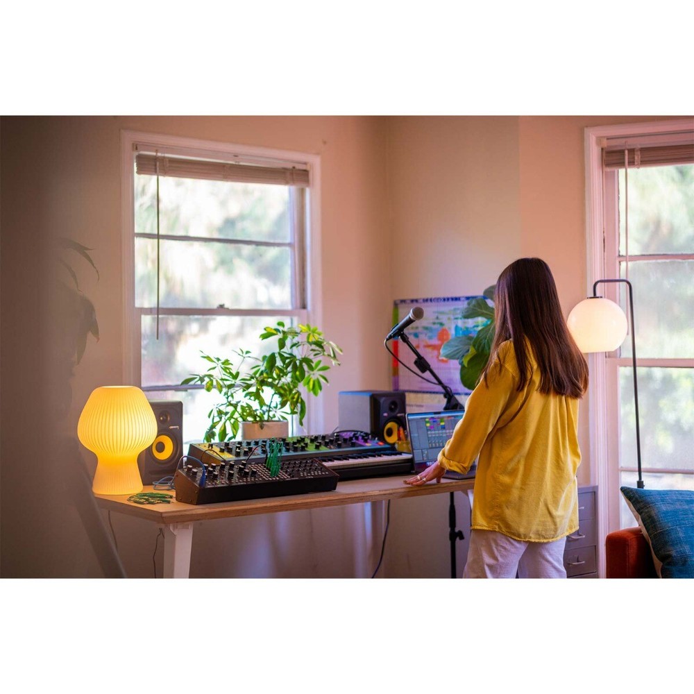 Moog Mavis Analog Audio Production Synthesizer Kit