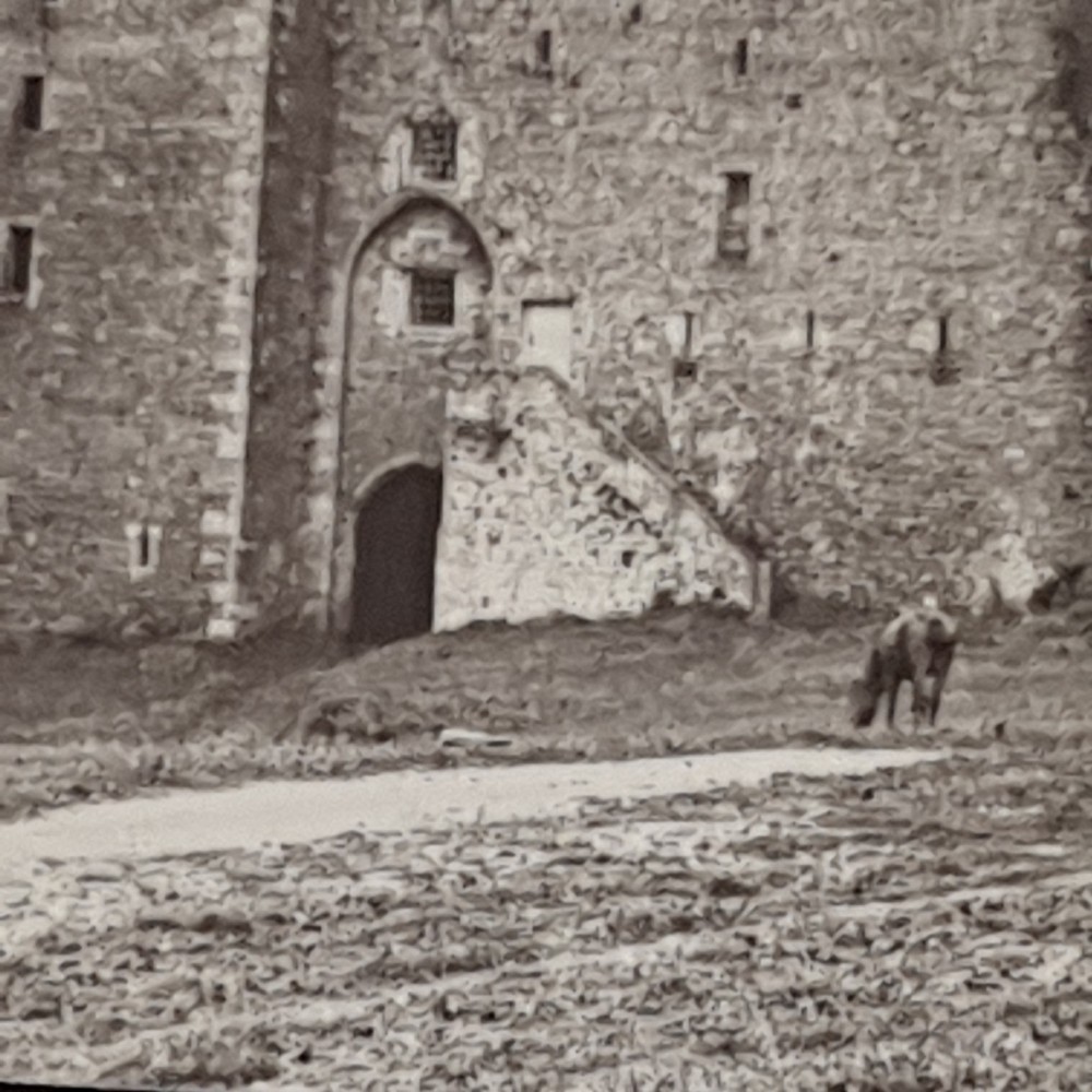 Magic Lantern Glass Slide Collectable Castle