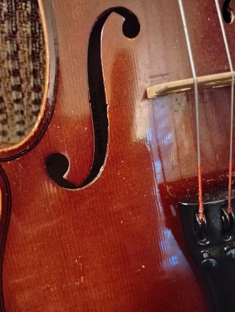Violin