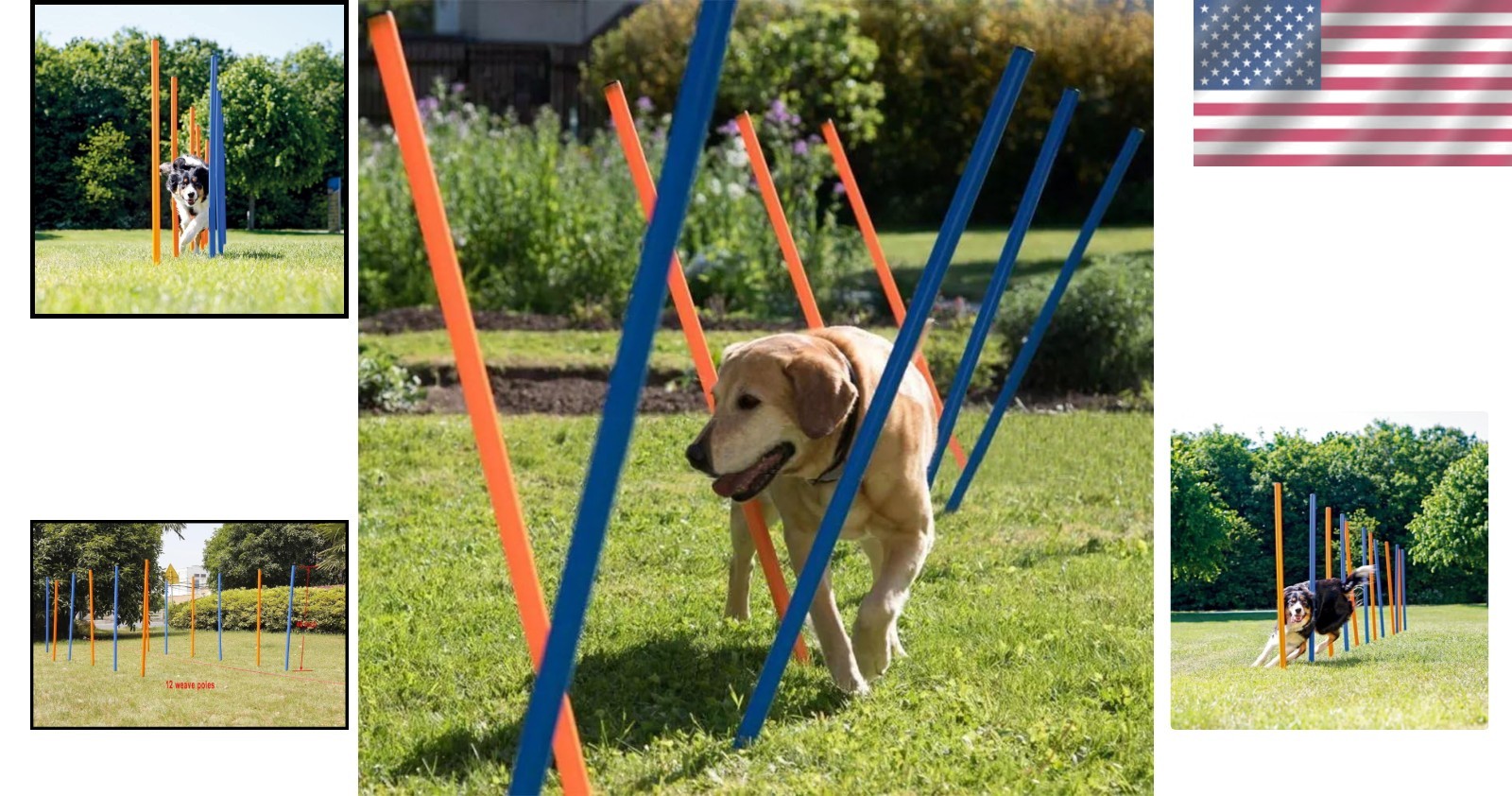 Portable 12 Weave Poles Agility Training Equipment for Dog Exercise Outdoors