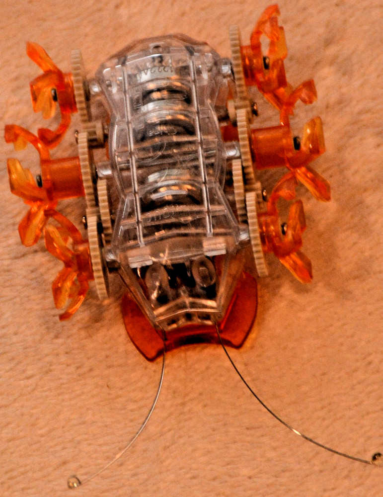 Hexbug Robotic Toys Micro Ant Spider Beetle Insect Creatures Remote Tech Scarab2