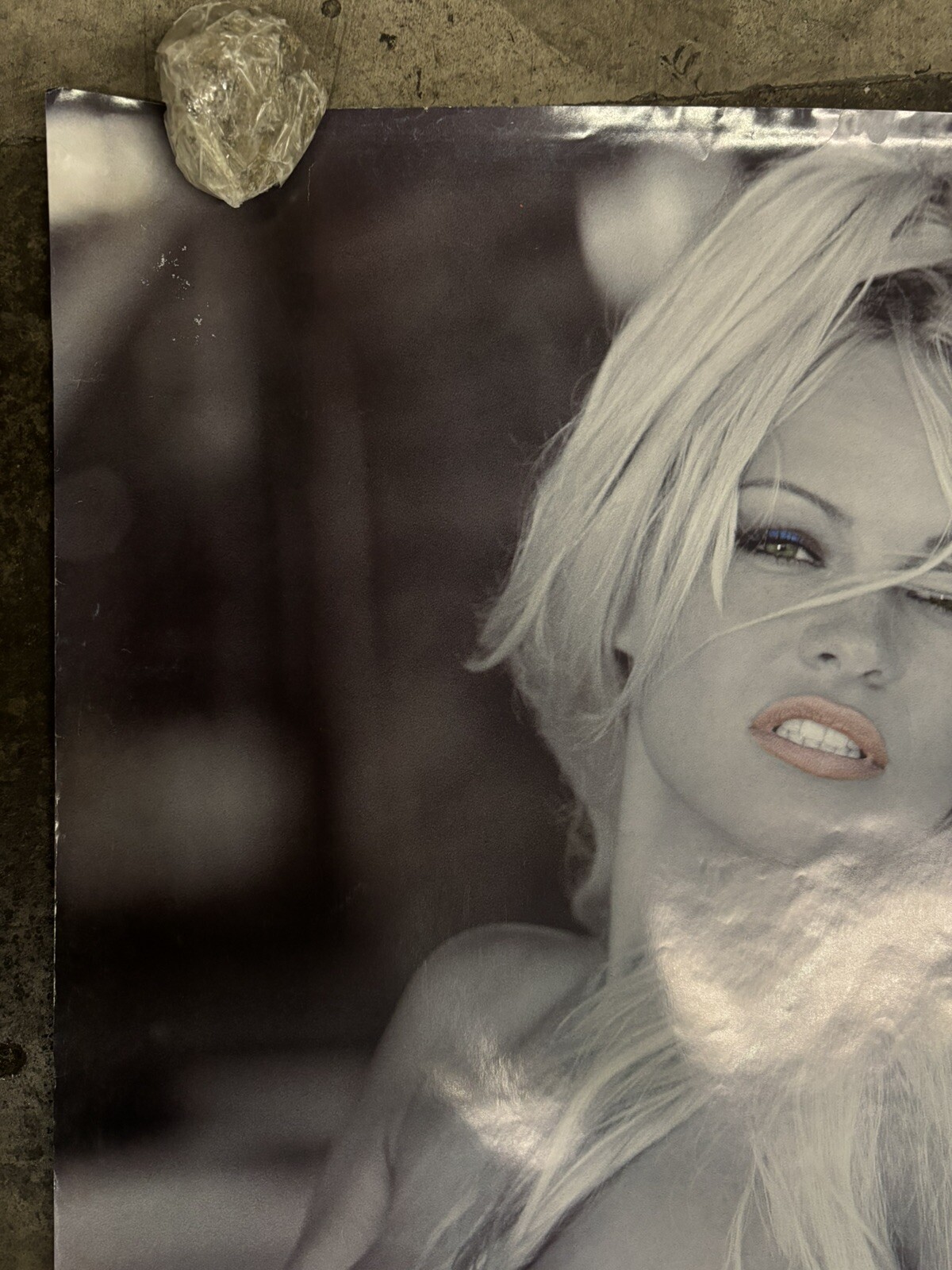 1990's vintage Poster hot girl Wearing Levi Jeans model C2585