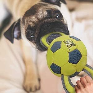 Ballistic Handle Ball
