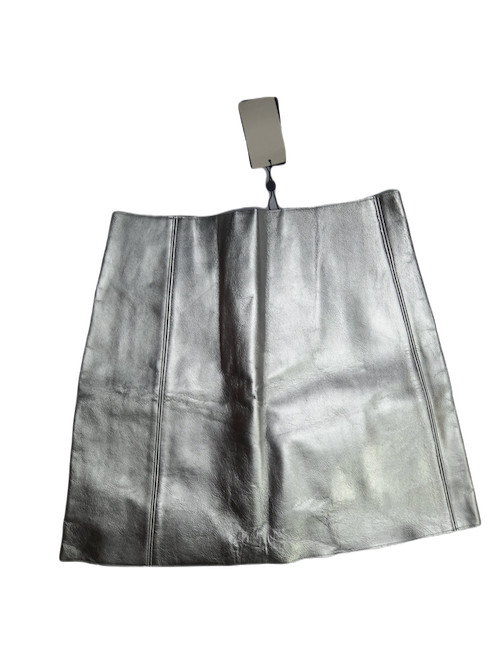 Sliver Mini Skirt
