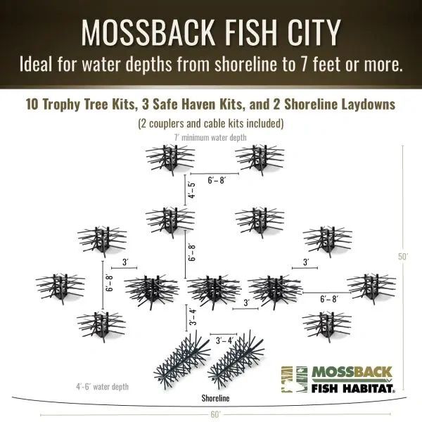MossBack - Fish City