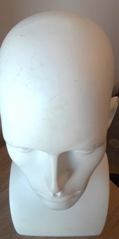 Male Mannequin Display Head