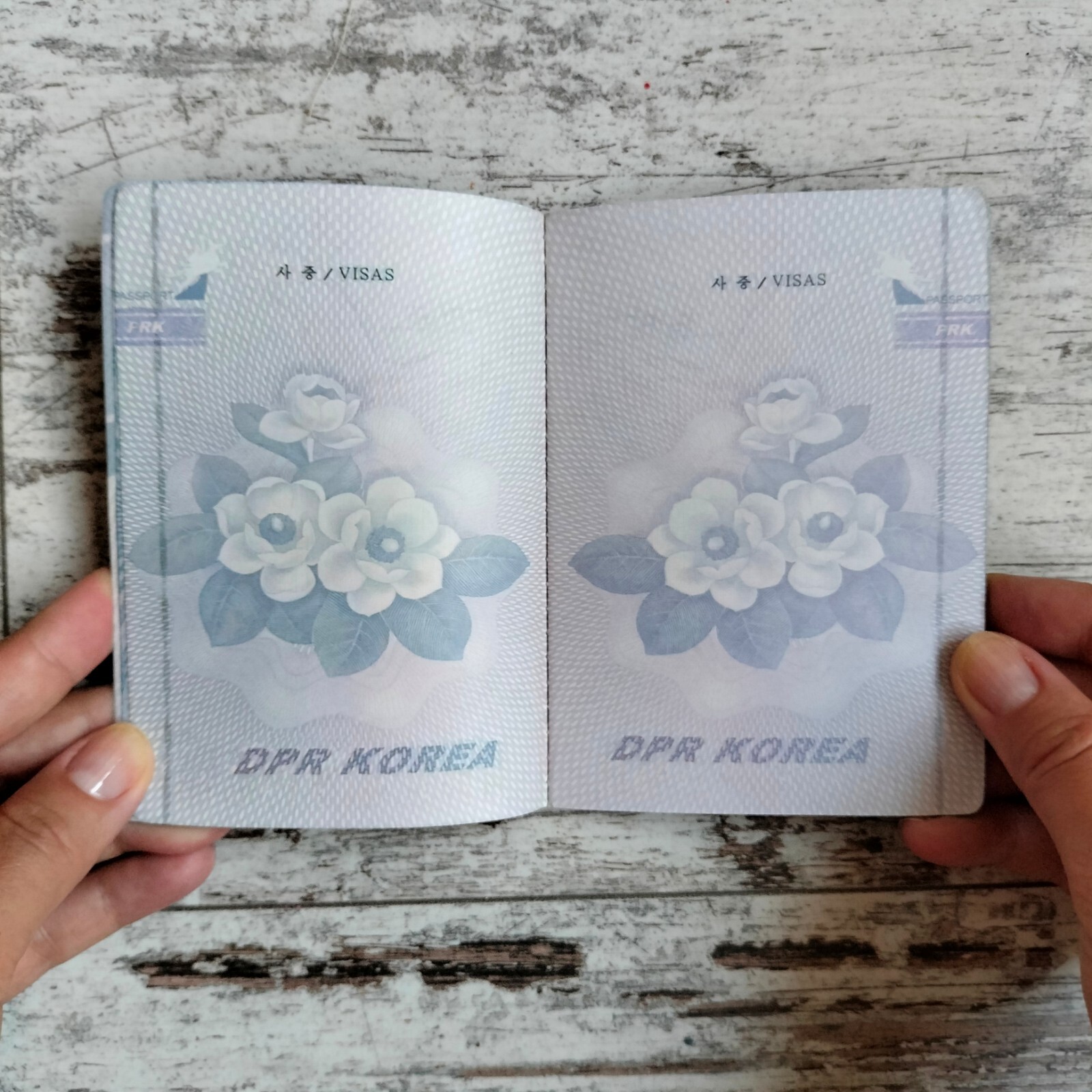 North Korea passport prop. Novelty passport cosplay. Play passport notebook.