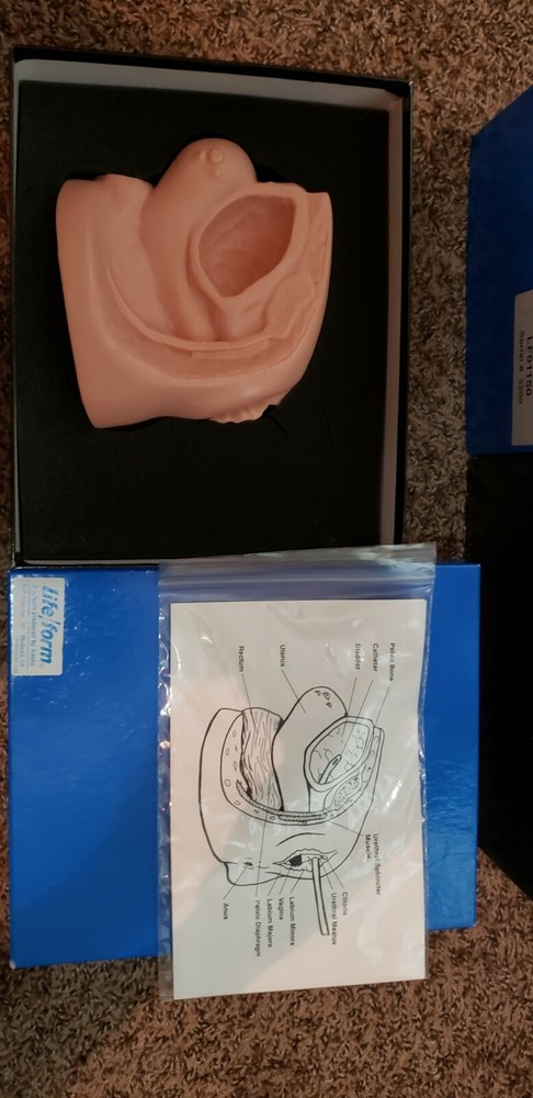 Life Form Medical Learning Parts