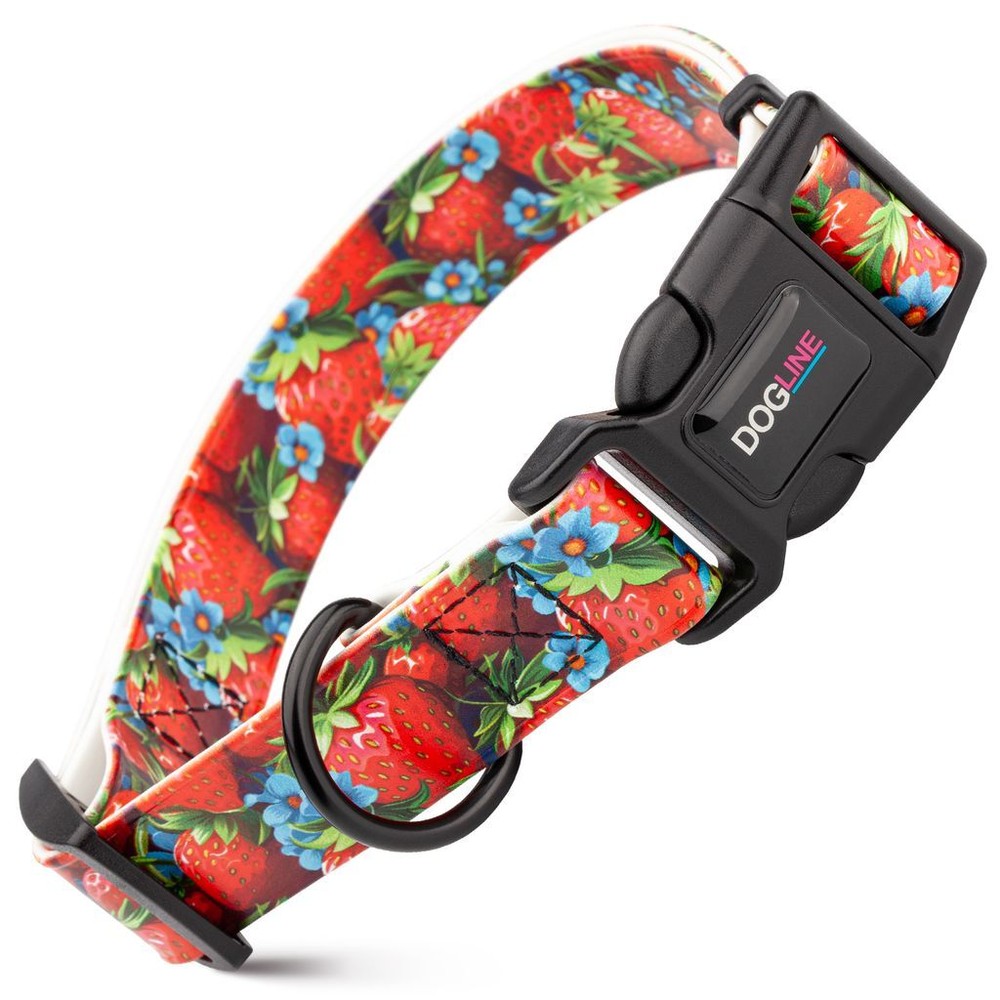 Dog Pet Strawberries Quick Release Printed Collar 3/4" x 12" - 19"