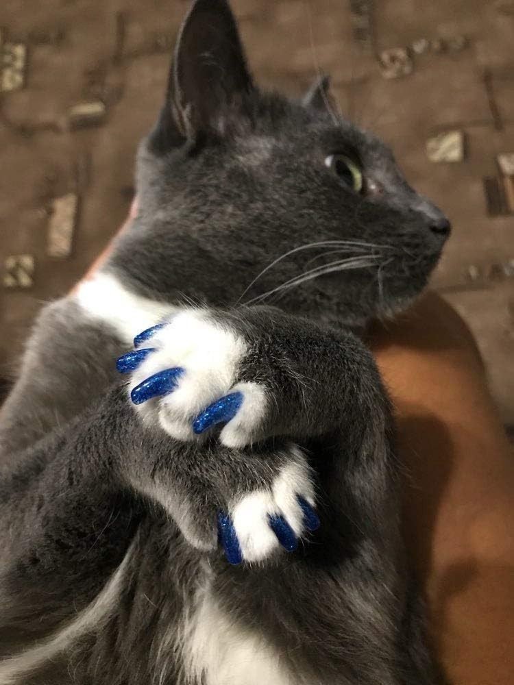 100 Pet-Friendly Cat Nail Caps in 10 Colors – Simple Application & Safe Use