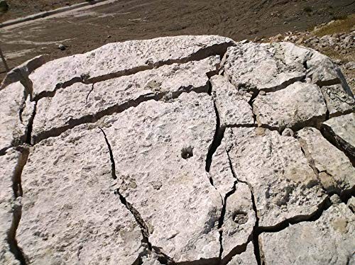 Dexpan Expansive Demolition Grout 11 Lb. Bucket for Rock Breaking, Concrete