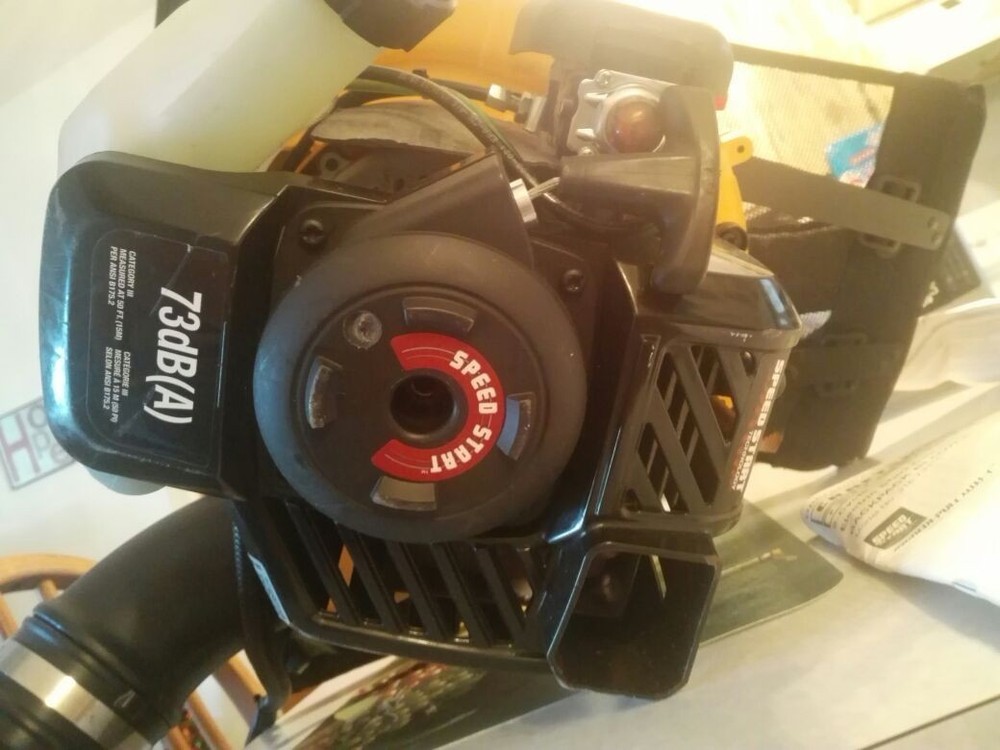 Craftsman 73dB(A) electric speed start backpack blower