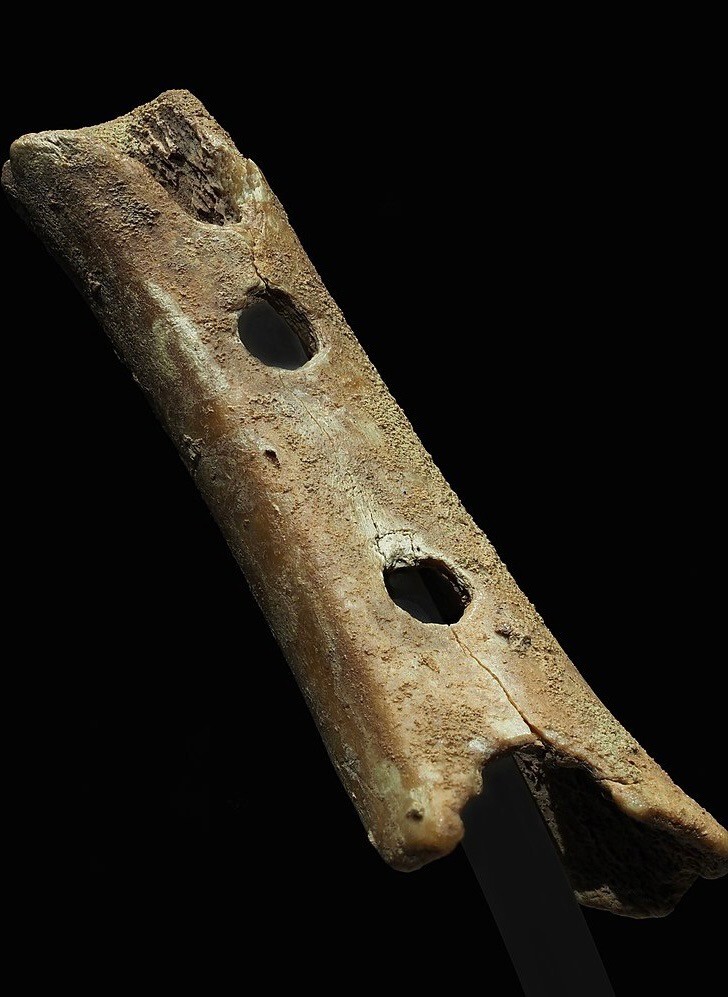 Divje Babe Neanderthal Bone Flute: Replica of Oldest Known Musical Instrument