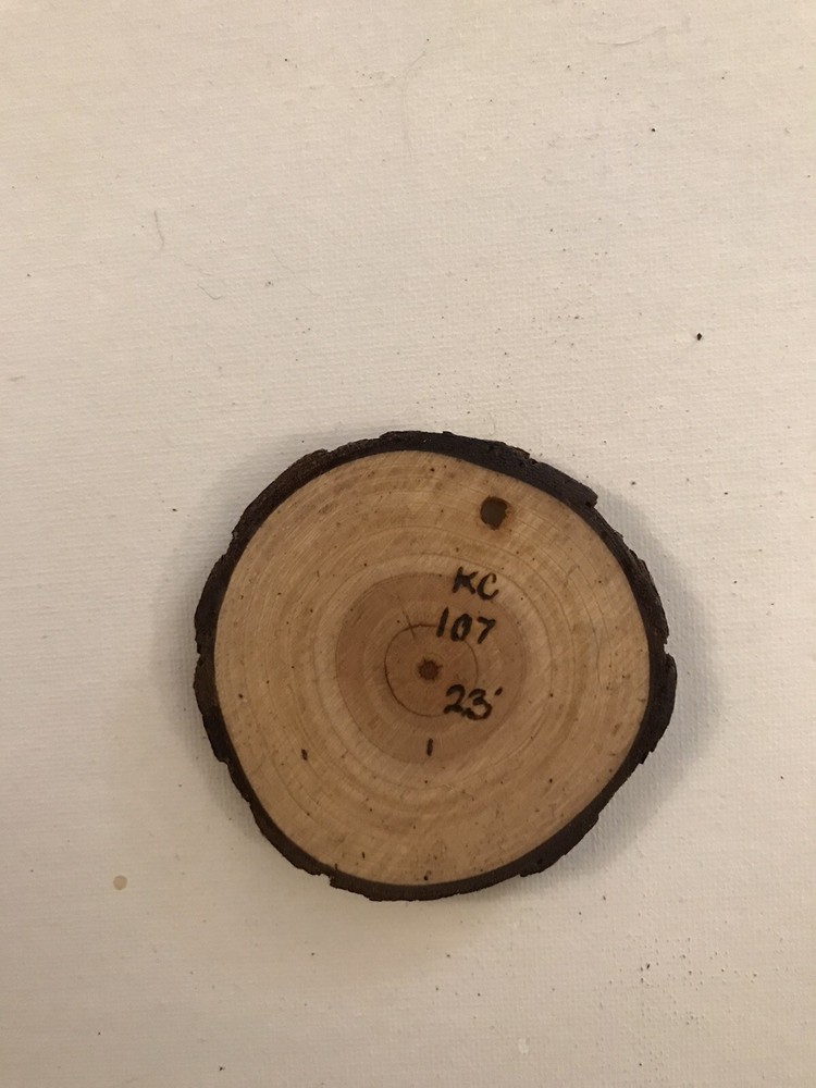 2.5” Hand Burned Pyrography Ornament “Sun And Moon”