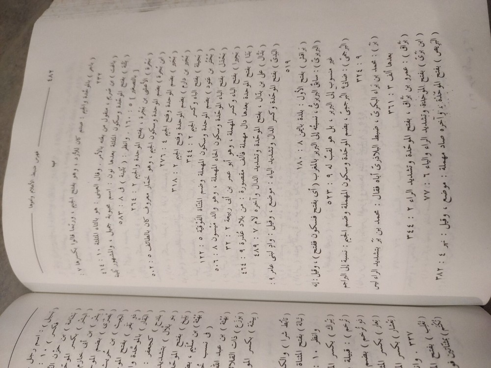 Arabic Book Biblio كتاب عربي خزانة الأدب و لب لباب لسان العرب ج13 عمر البغدادي