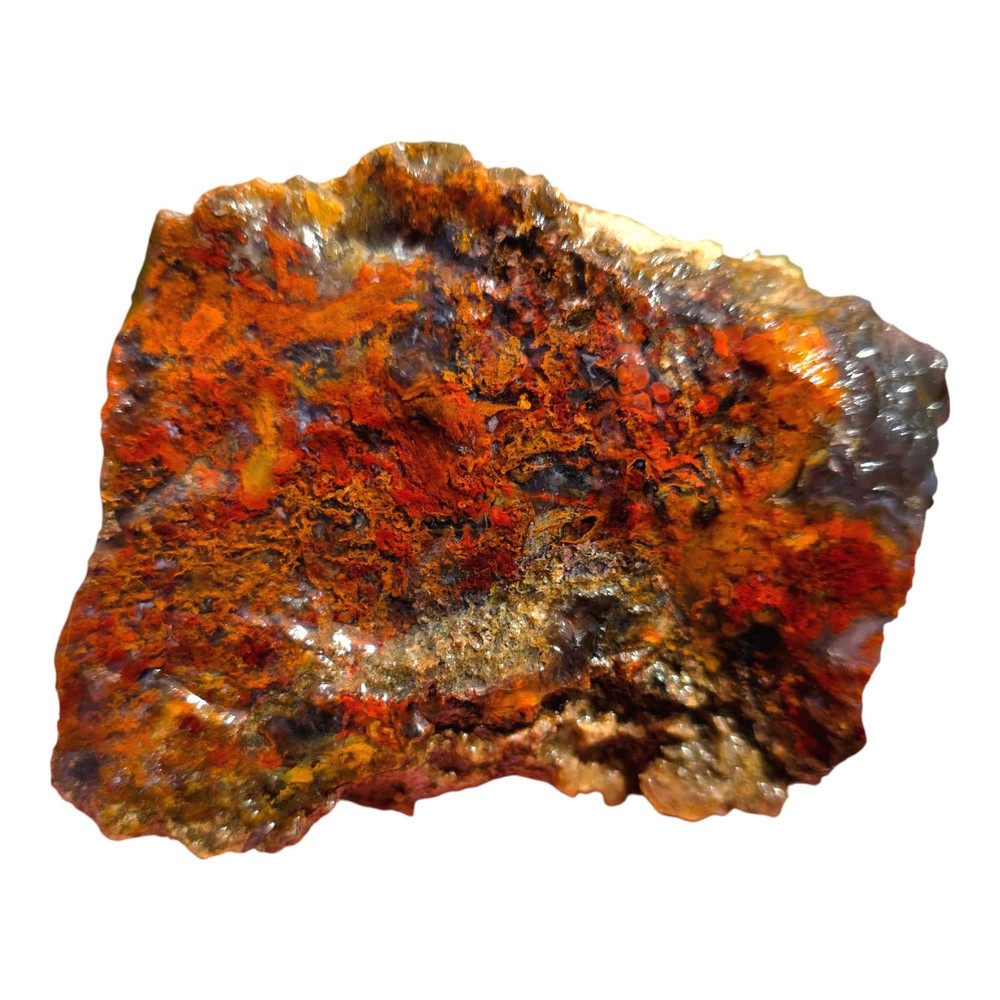 Random Pull San Carlos Agate Lapidary Rough Uncut Chunks