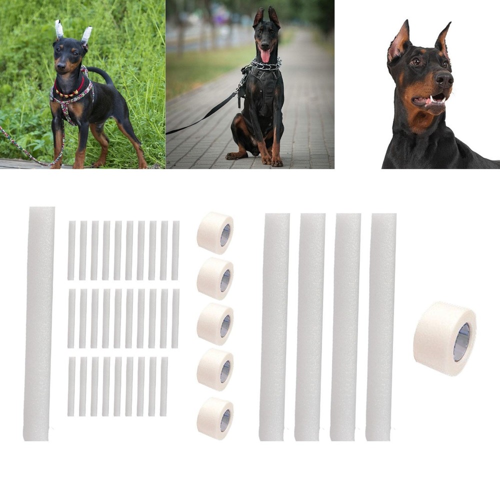 Dog Ear Fixed Correction Vertical Holder Ear Sticker German Dog Ear Support
