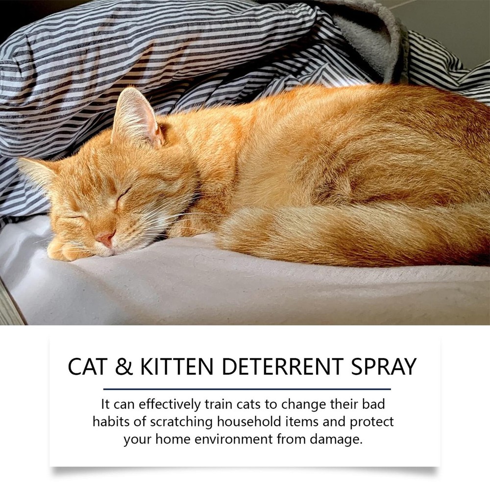 Cat Scratch Spray Keep Off Cat Spray 100ml Spray To Keep Cats From Efficient