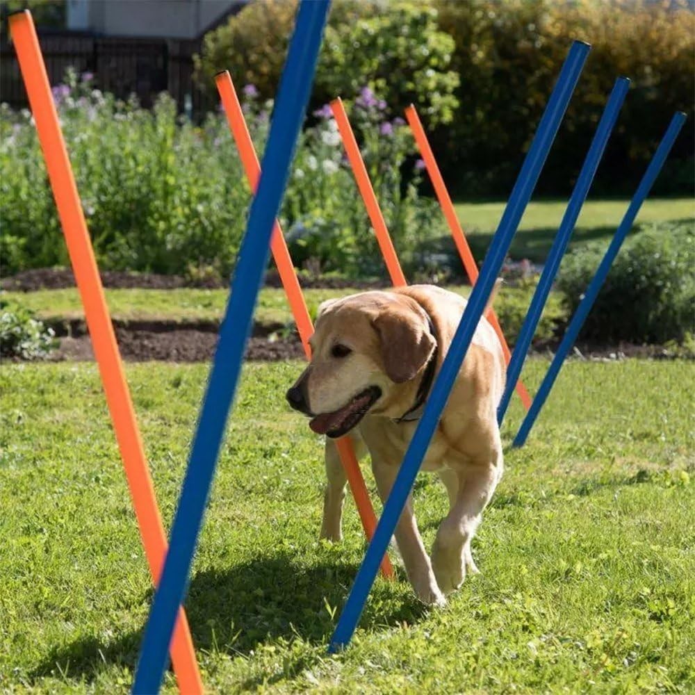 Portable 12 Weave Poles Agility Training Equipment for Dog Exercise Outdoors