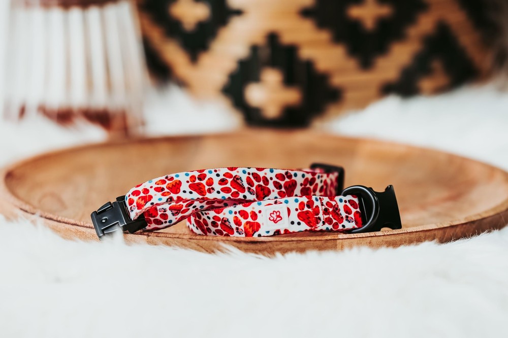 Western Paw Print Collar Large