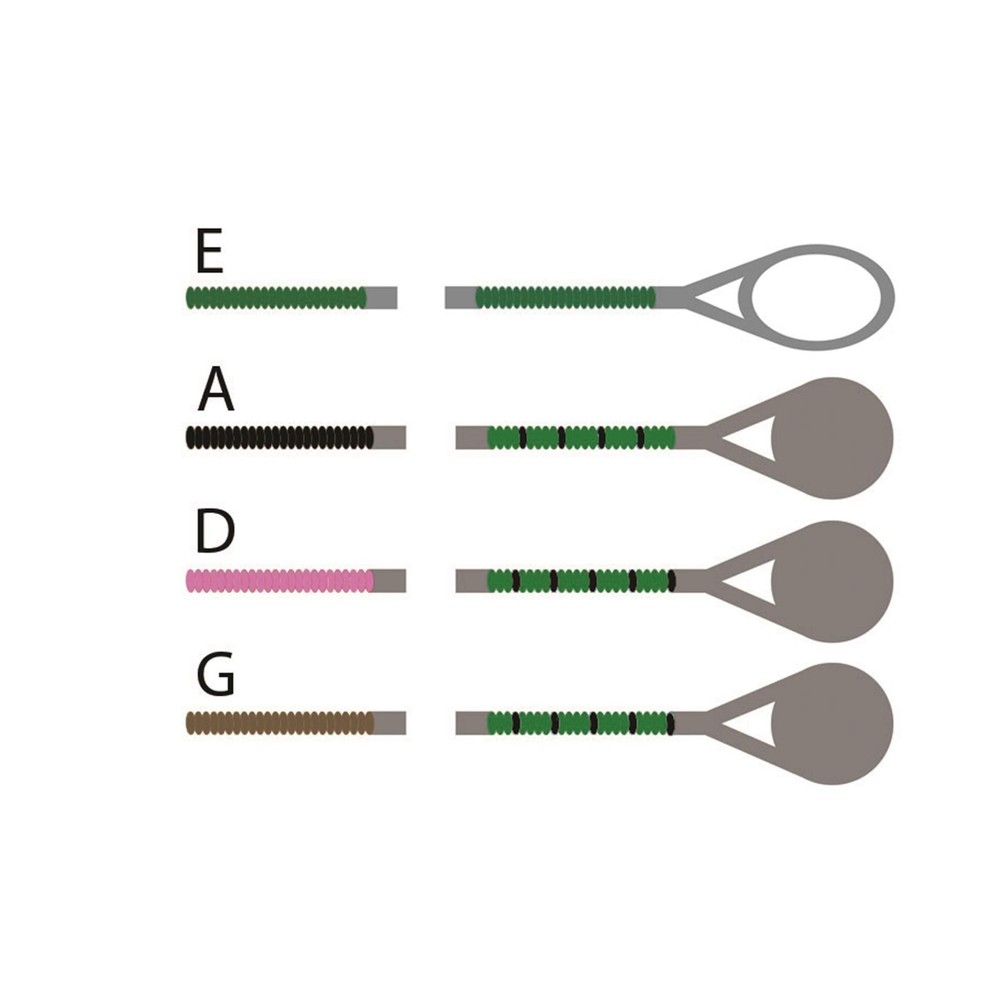Pirastro Evah Pirazzi 4/4 Violin String Set - Medium Gauge - With Loop-End Go...