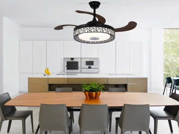 42'' Ceiling Fan with LED Lights