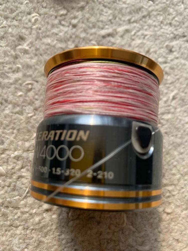 Assertion sw 4000