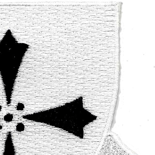 381st Infantry Regiment Patch