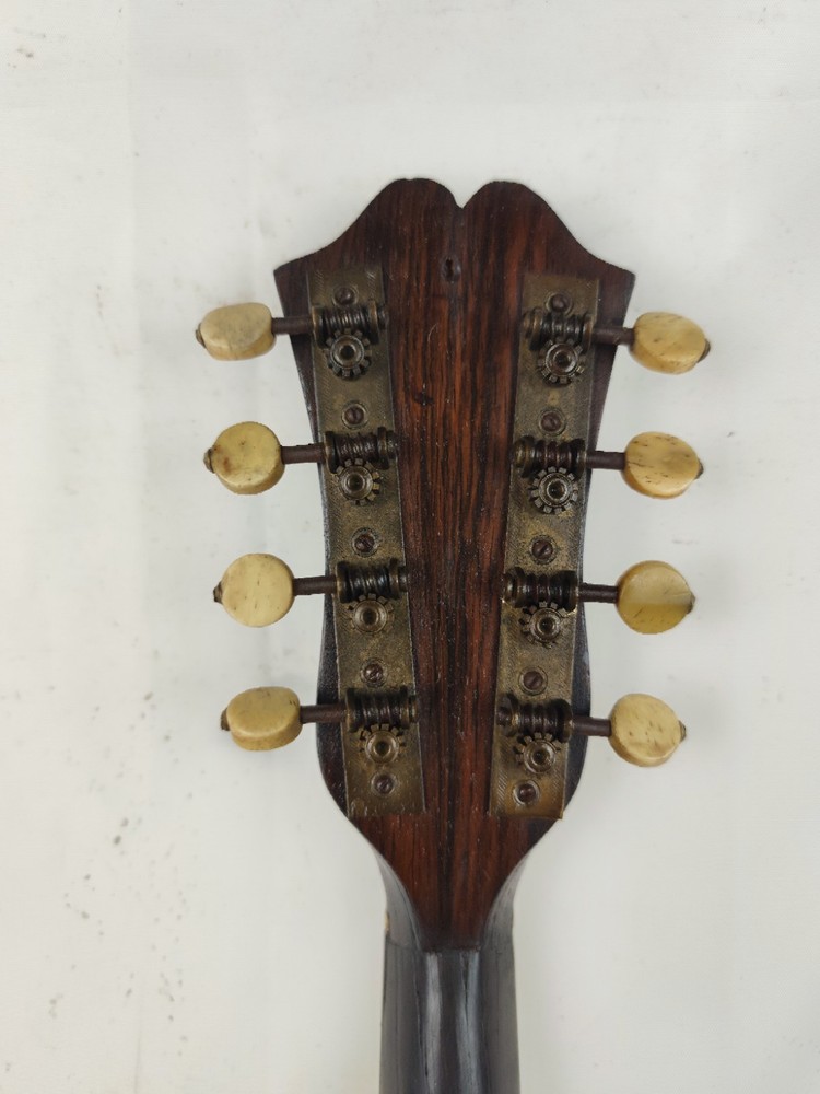 Mandolin 4/4 Ferdinando Lapini 1890 Naples 曼陀林 만돌린マンドリン