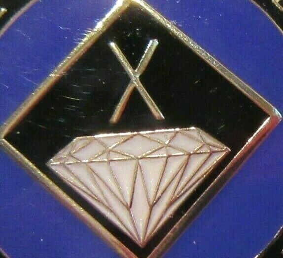 Narcotics Anonymous medallion year 10 Purple black white Chip Token