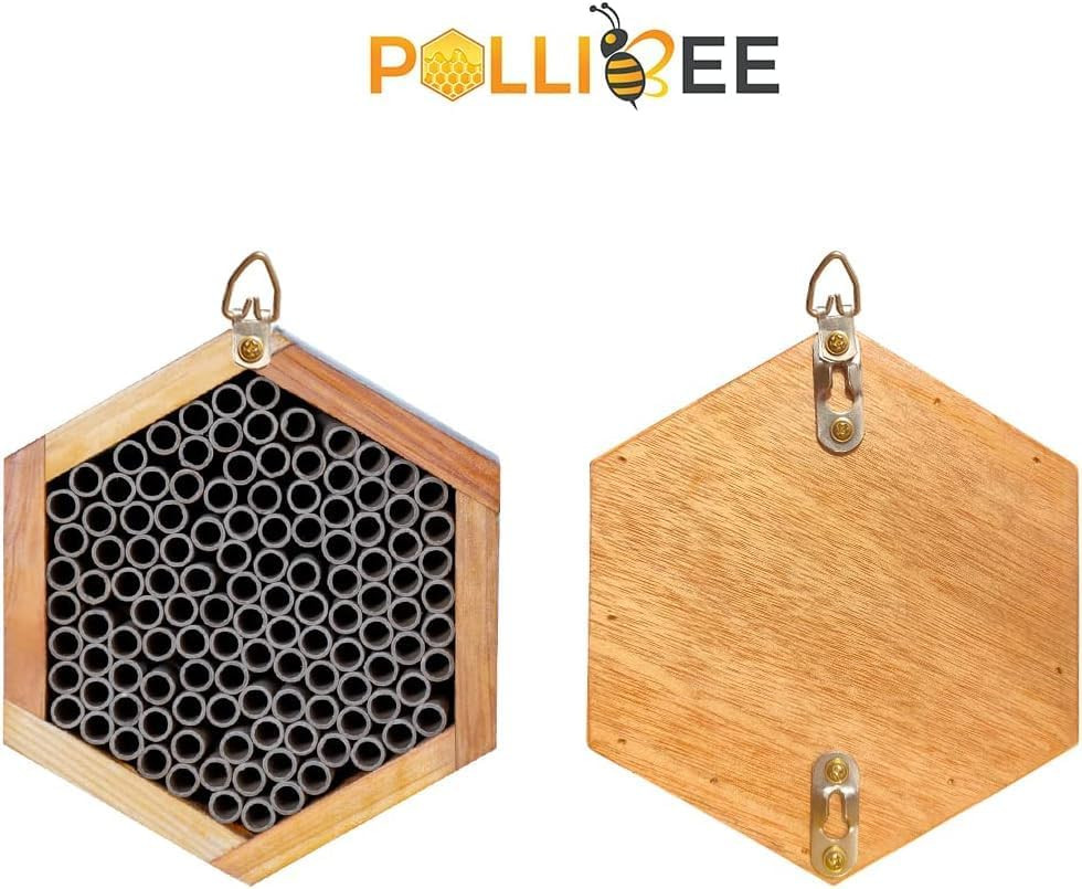Mason Bee House - Handmade Natural Wooden Bee Hive Coated with Wax for Water-Pro