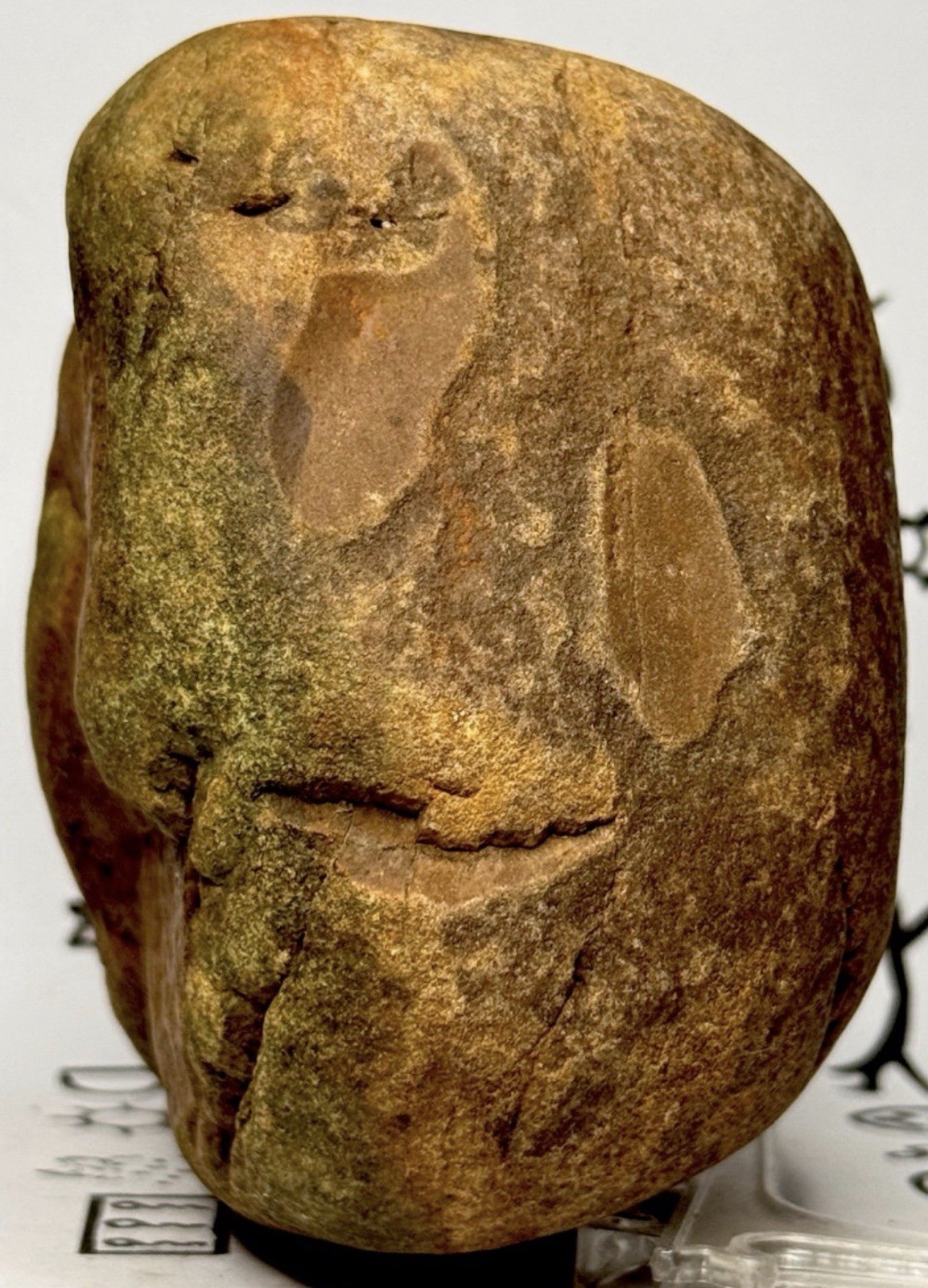 Native American Indian Authentic Artifact Stone Carved Effigy,  3 lb 2  oz • VA