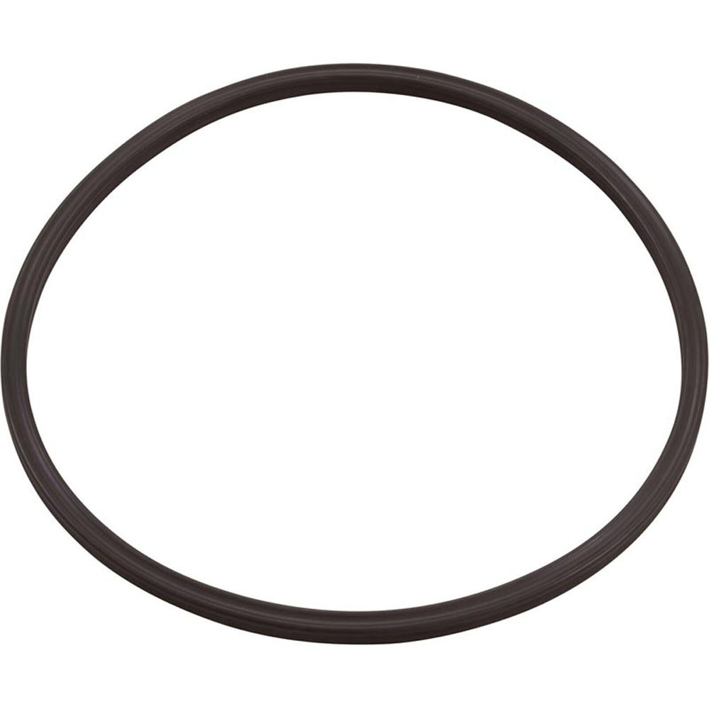 005-152-0120-00 O-Ring, Paramount Leaf Canister, Lid