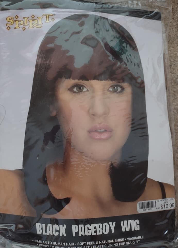 Black Pageboy Wig