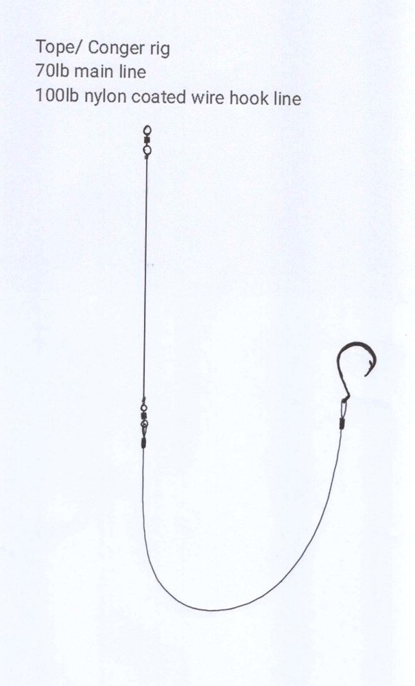 4 X No 7/0 circle hook tope Conger rigs