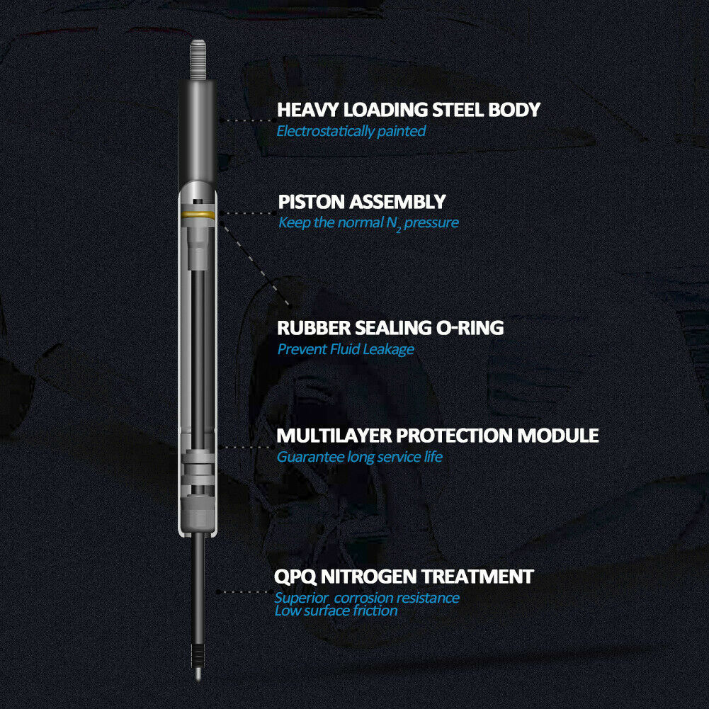 2Pcs Rear Liftgate Hatch Lift Supports Struts Shocks Fits Ford Edge 2007-2014