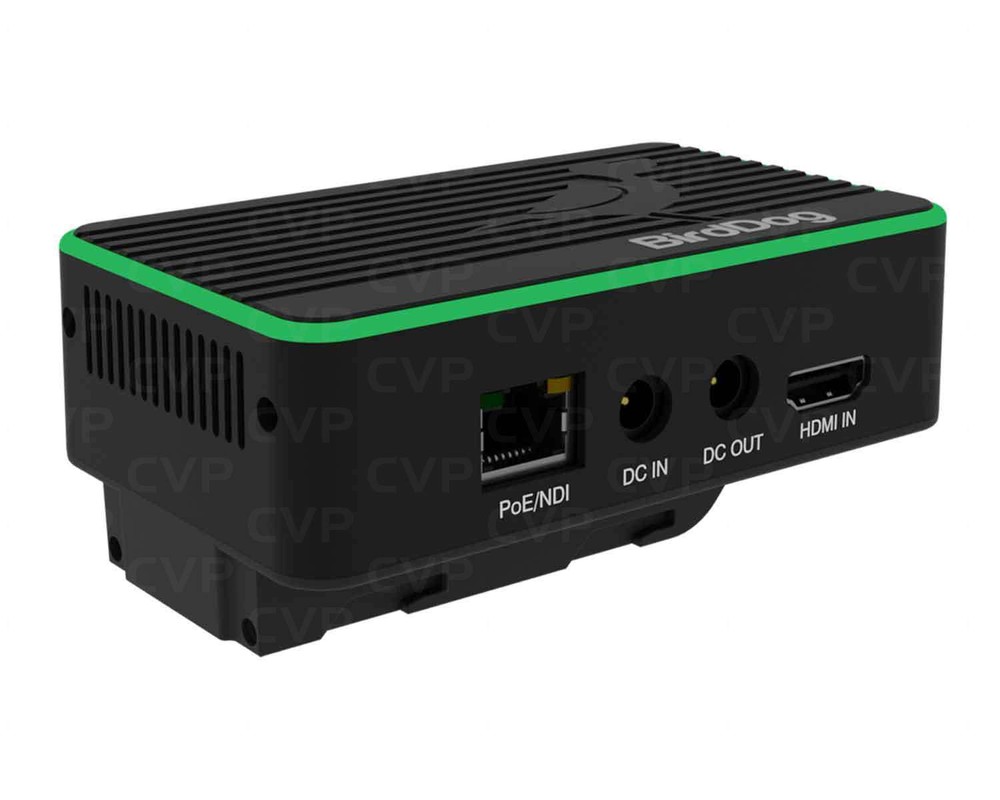 BirdDog BDFLEXBP 4K Full NDI Encoder