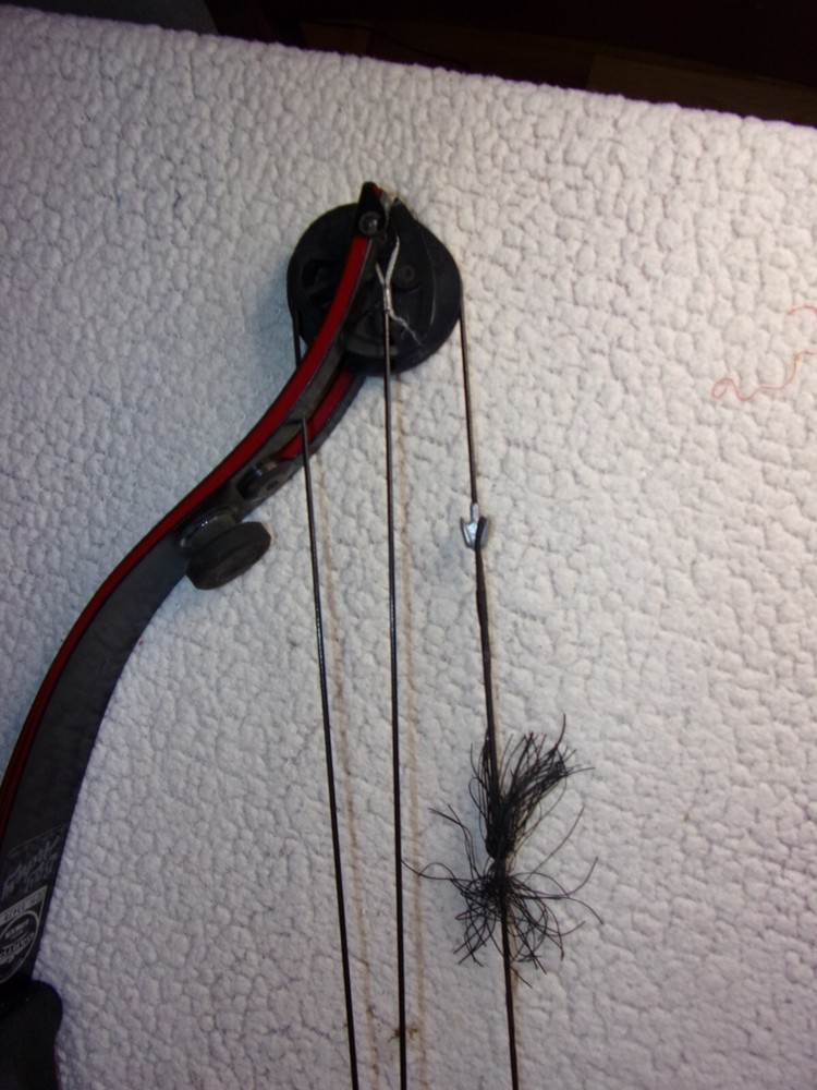 Darton Archery 50MXR Compound Bow