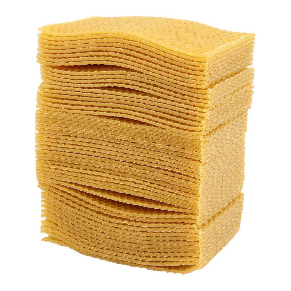 50PCS Beekeeping Hive Honeycomb Foundation Frame Hive Beekeeping Tools