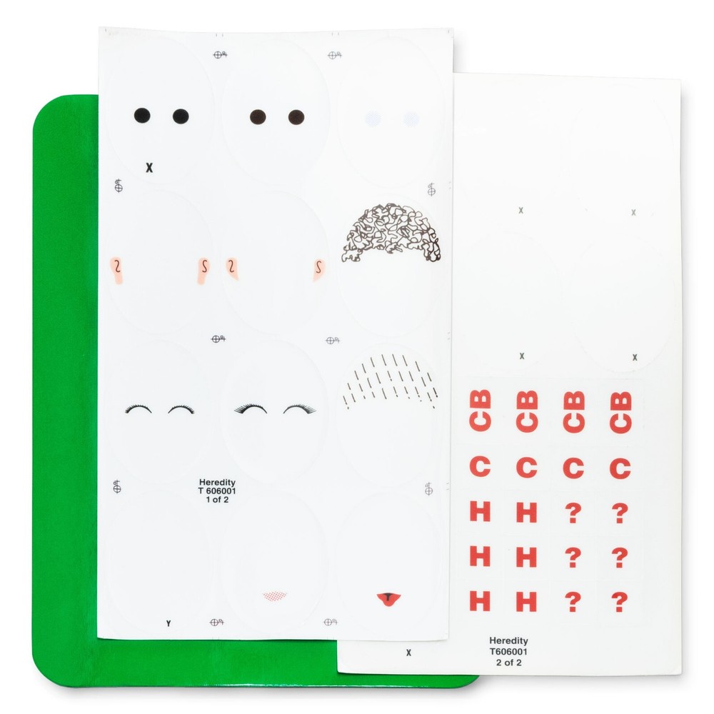 Human Heredity Made Easy Kit American Educational Products Model
