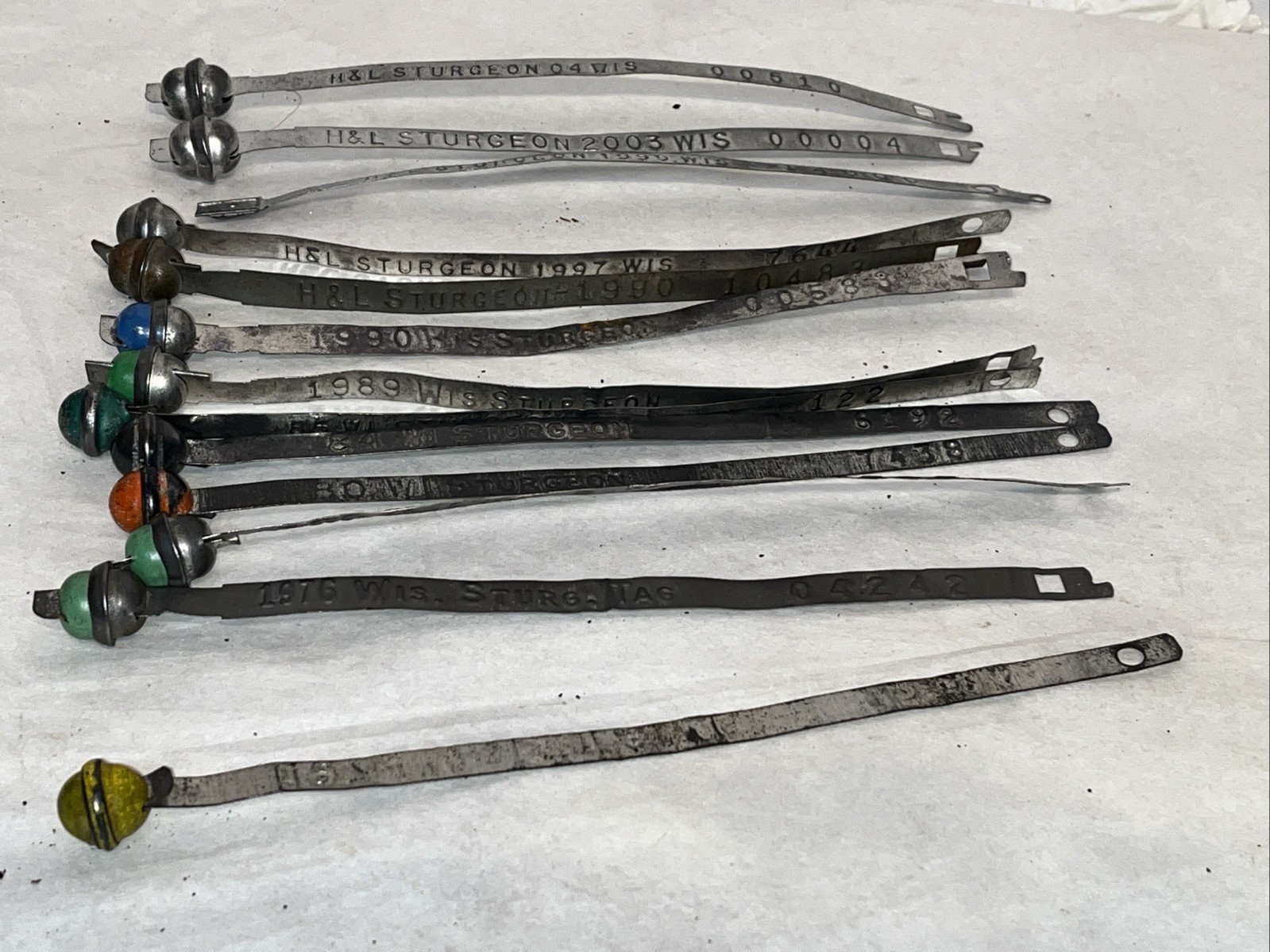 Wisconsin Sturgeon Tag Bundle 1974-2004 Fishing License Lot