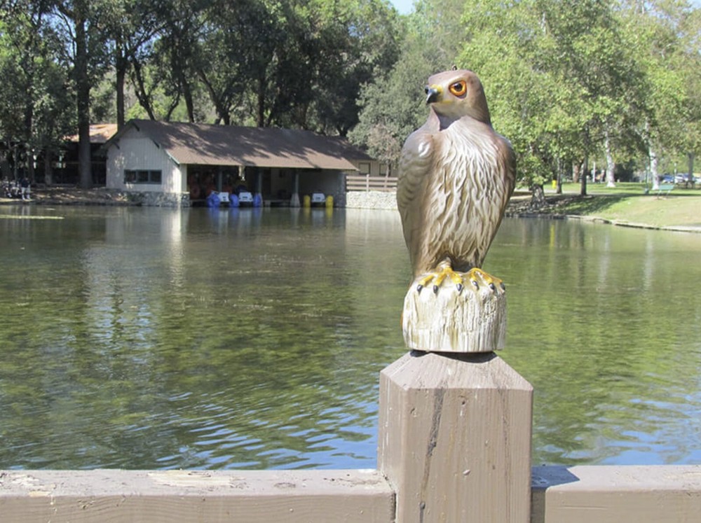 Bird B Gone MMRTH1 Red Tailed Hawk Plastic Predator Decoy