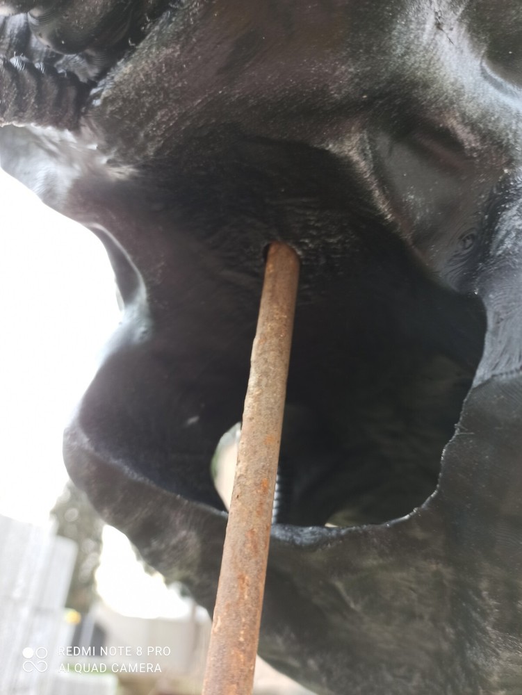 Alien / Xenomorph Romulus bust - head