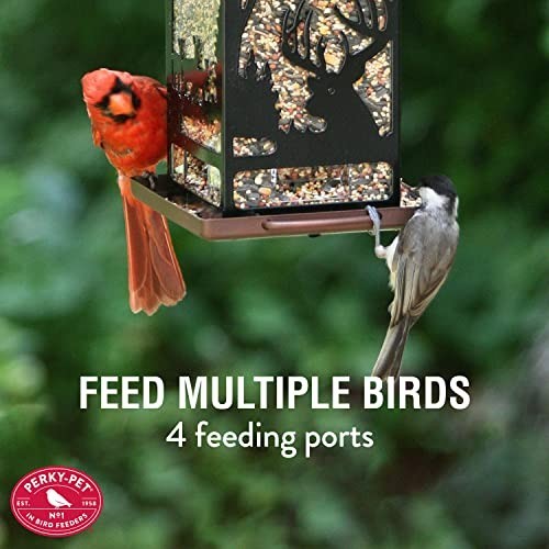 Wilderness Lantern Style Bird Feeder - 2 lb Seed Capacity, Easy Fill & Clean