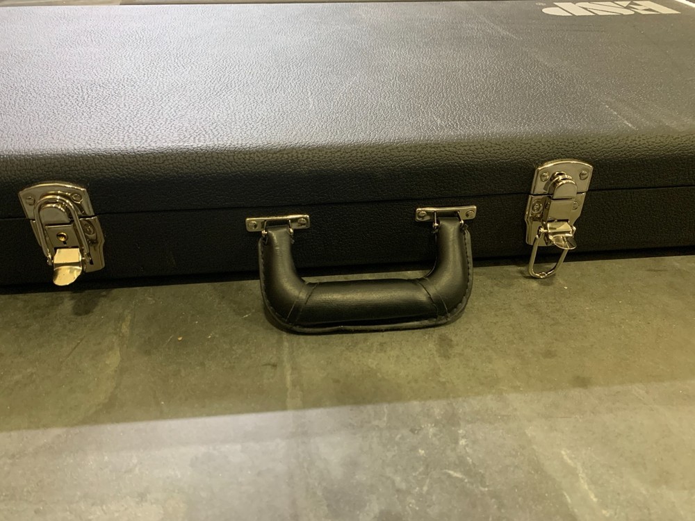 ESP - V-Shape Electric Guitar Case - Used