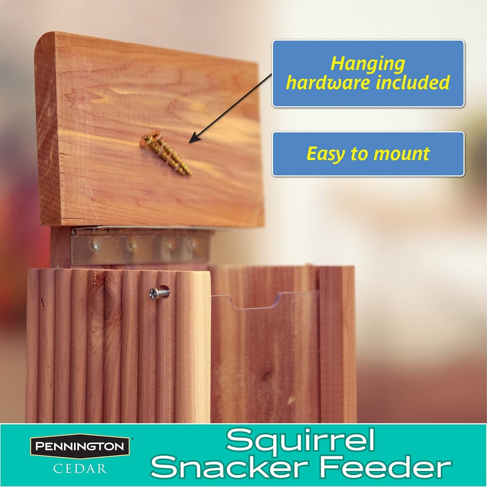 Pennington Cedar Squirrel Snacker Feeder, 2.75 LB Pounds Capacity,